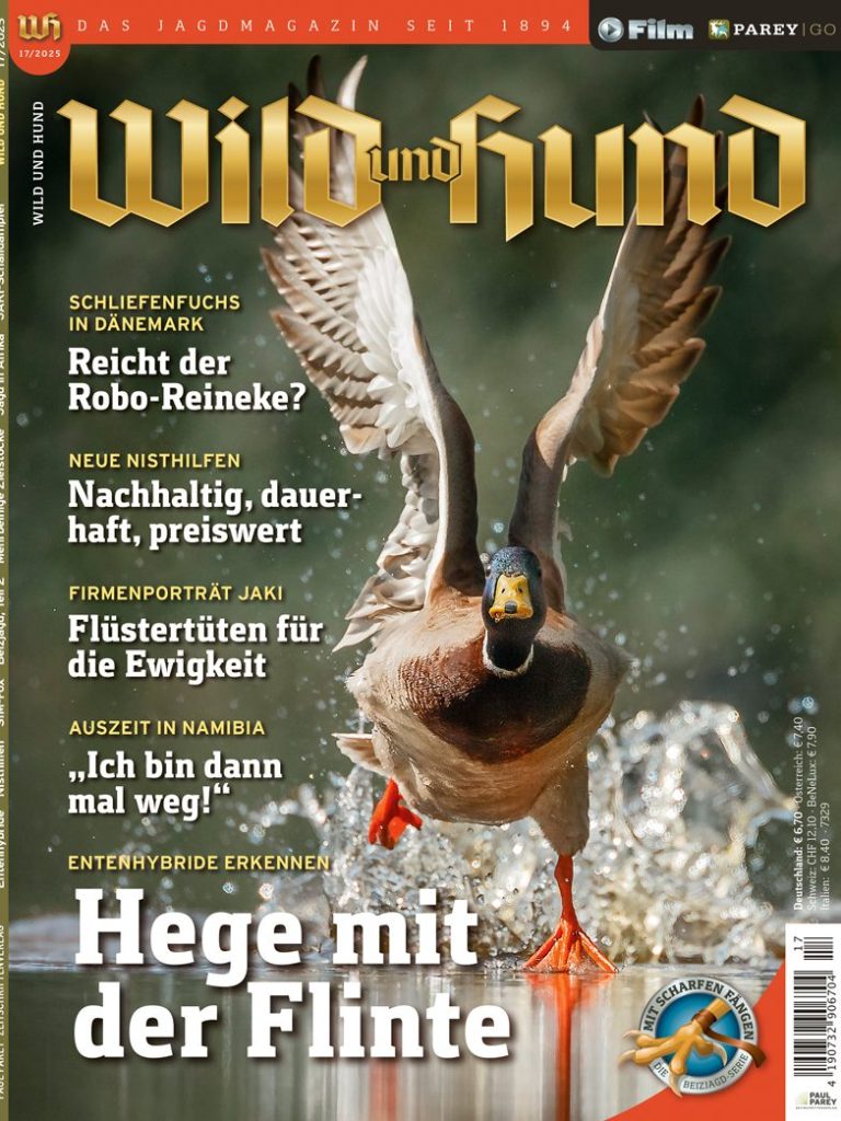 Wild und Hund Ausgabe 17/2025 mit dem Bergischen Entenbrutkorb Titelbild "Wild und Hund" Ausgabe 17/2025 mit dem Bergischen Entenbrutkorb